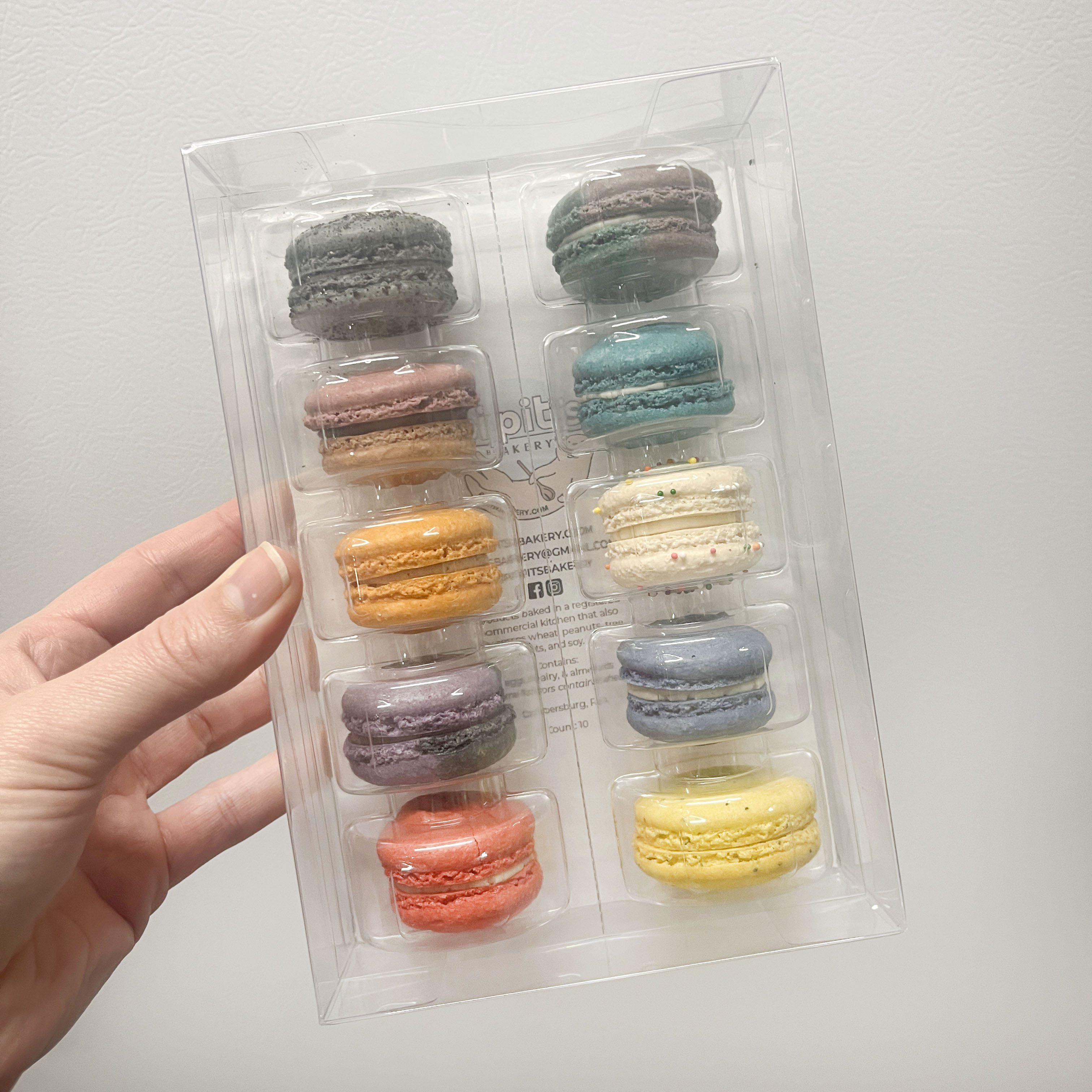 Macaron 10-Pack (V1)
