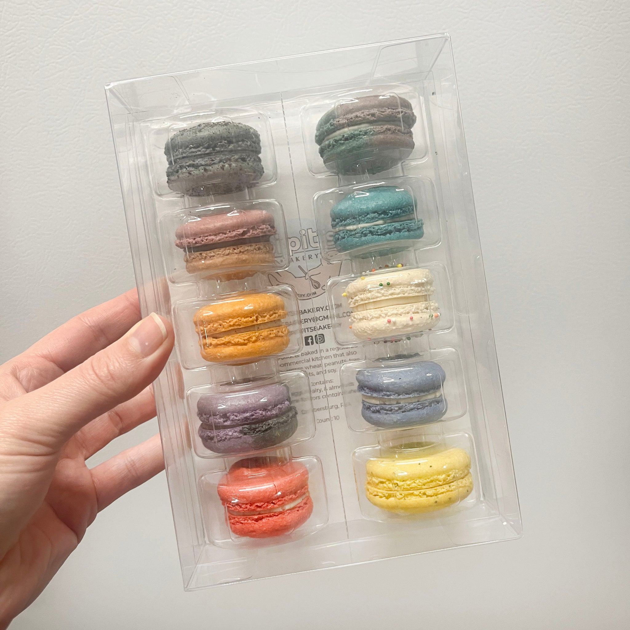 Macaron 10-Pack (V1)