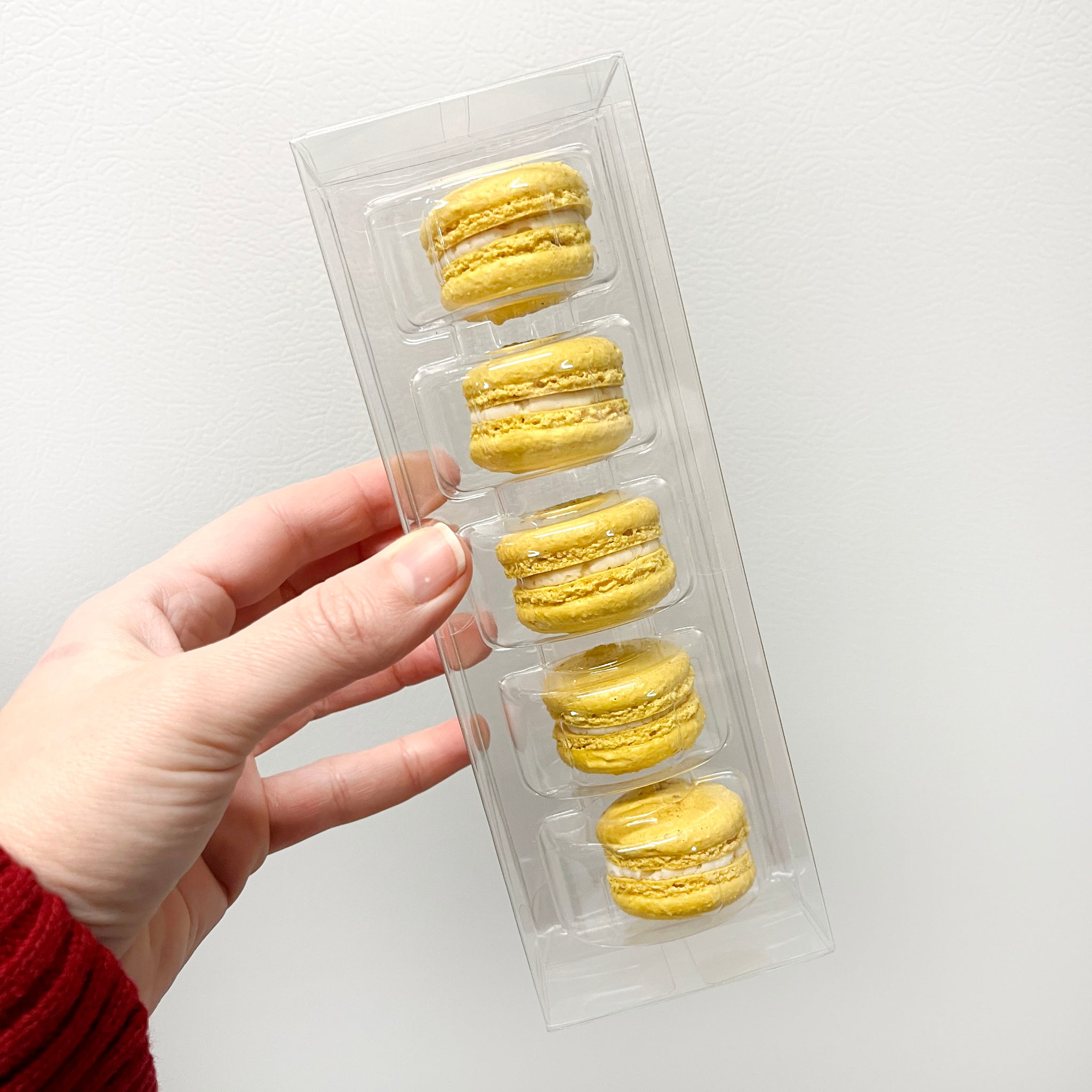 Macaron 5-Pack - Eggnog Lover