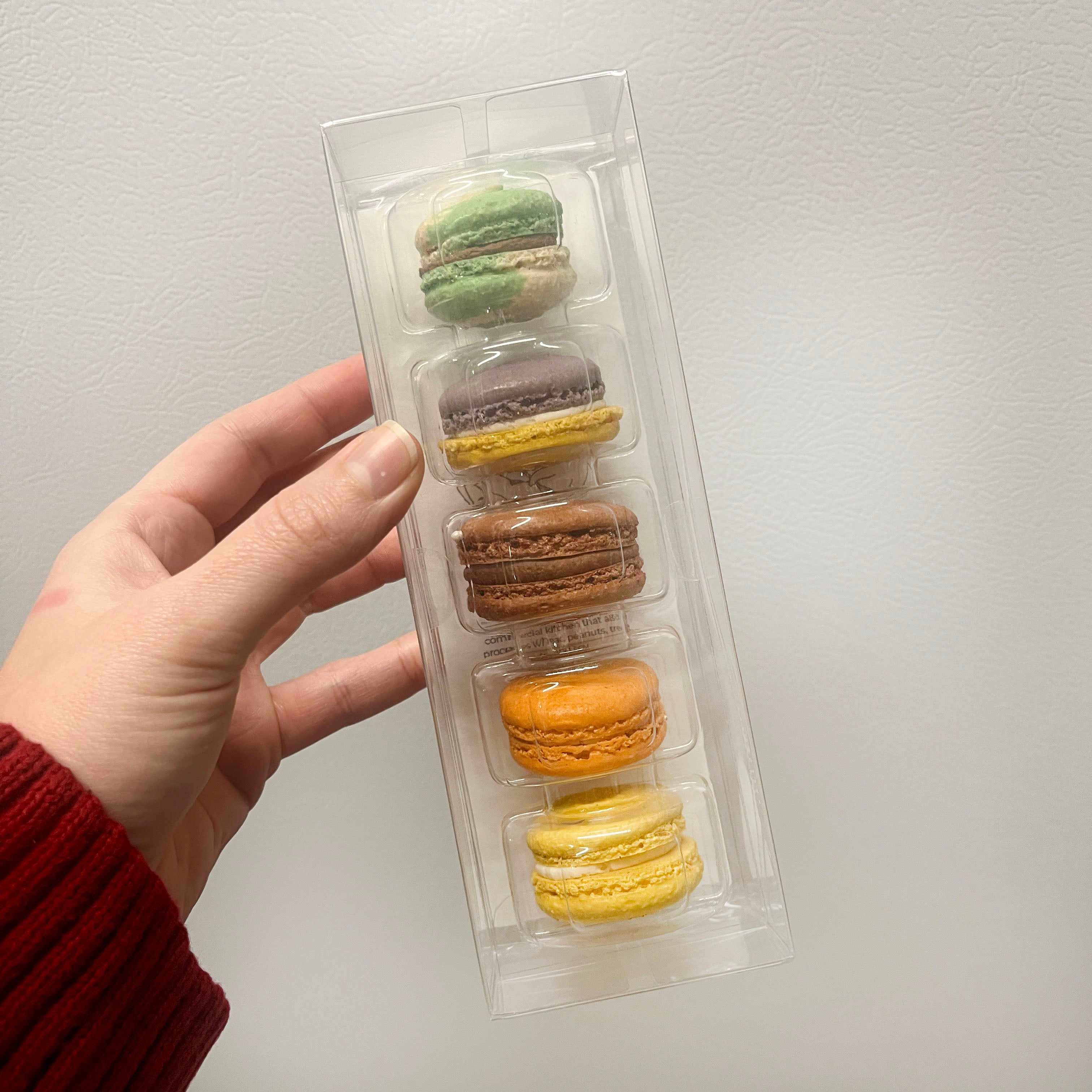 Macaron 5-Pack