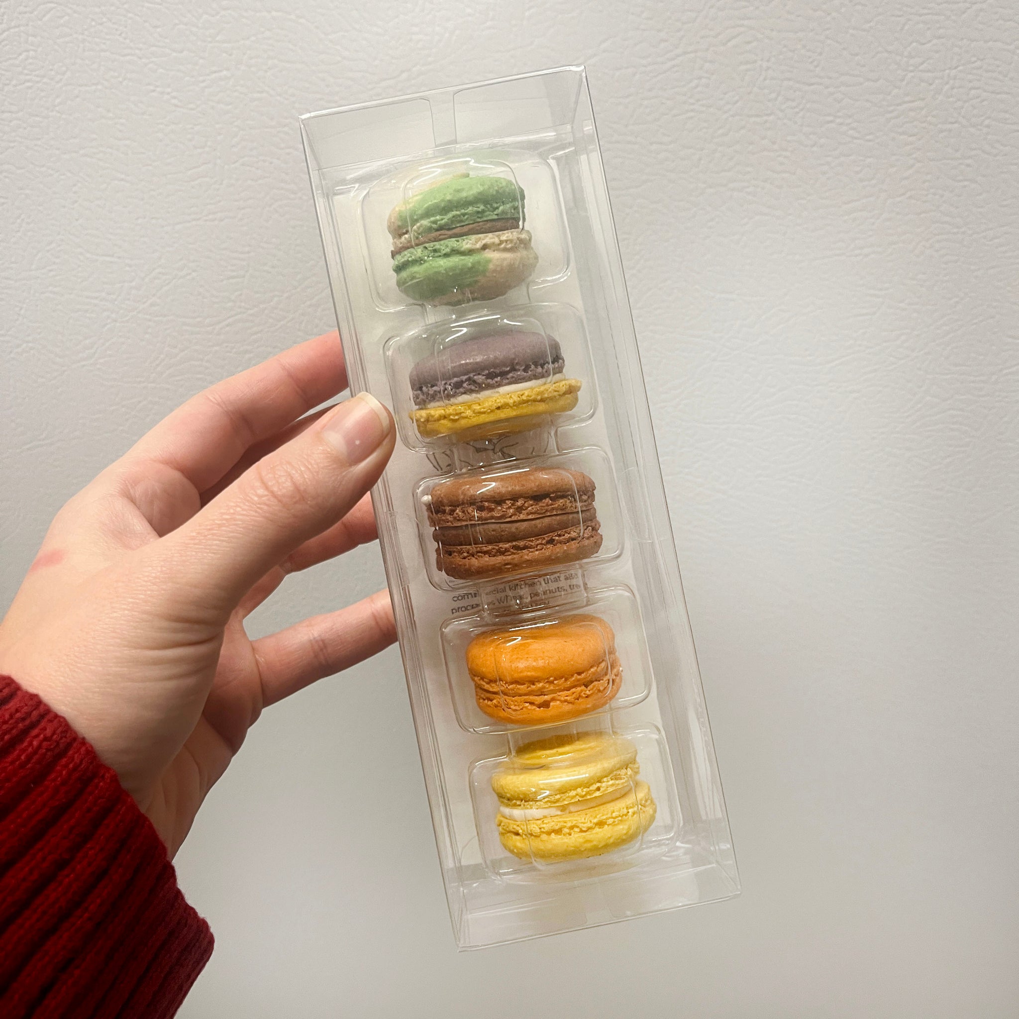 Macaron 5-Pack